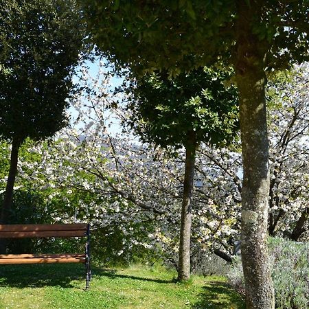 Monte A Pescia Villa Eksteriør billede