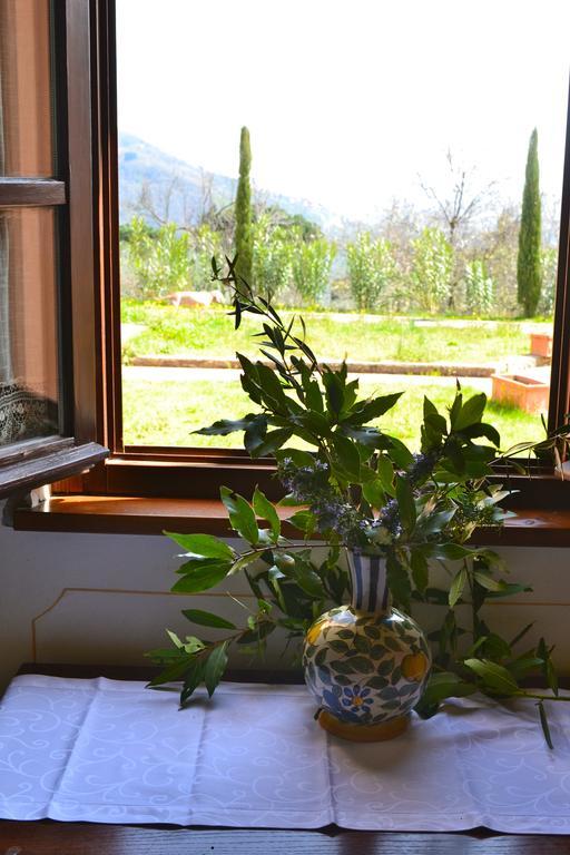 Monte A Pescia Villa Værelse billede